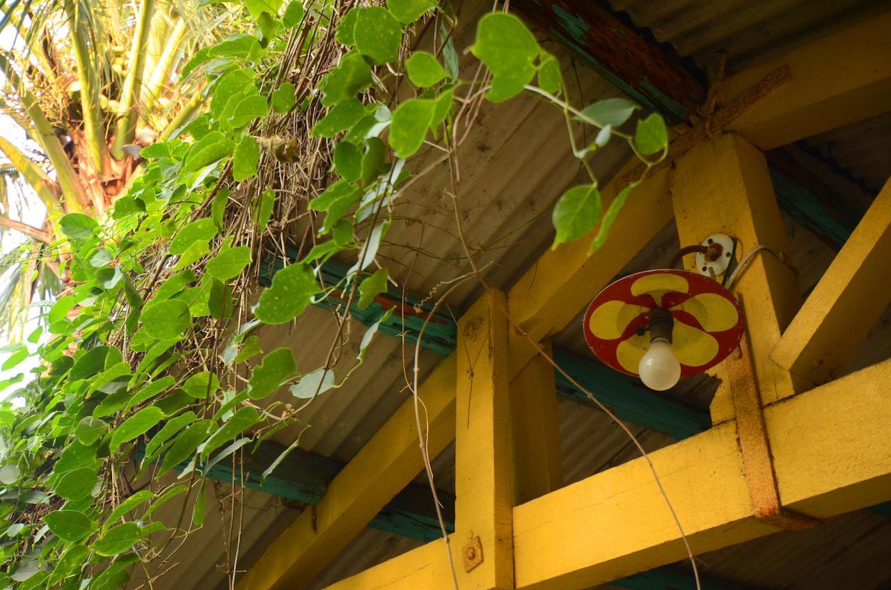 Sky Gift Traditional Farm B&B Dongshi (Chiayi) Exterior foto