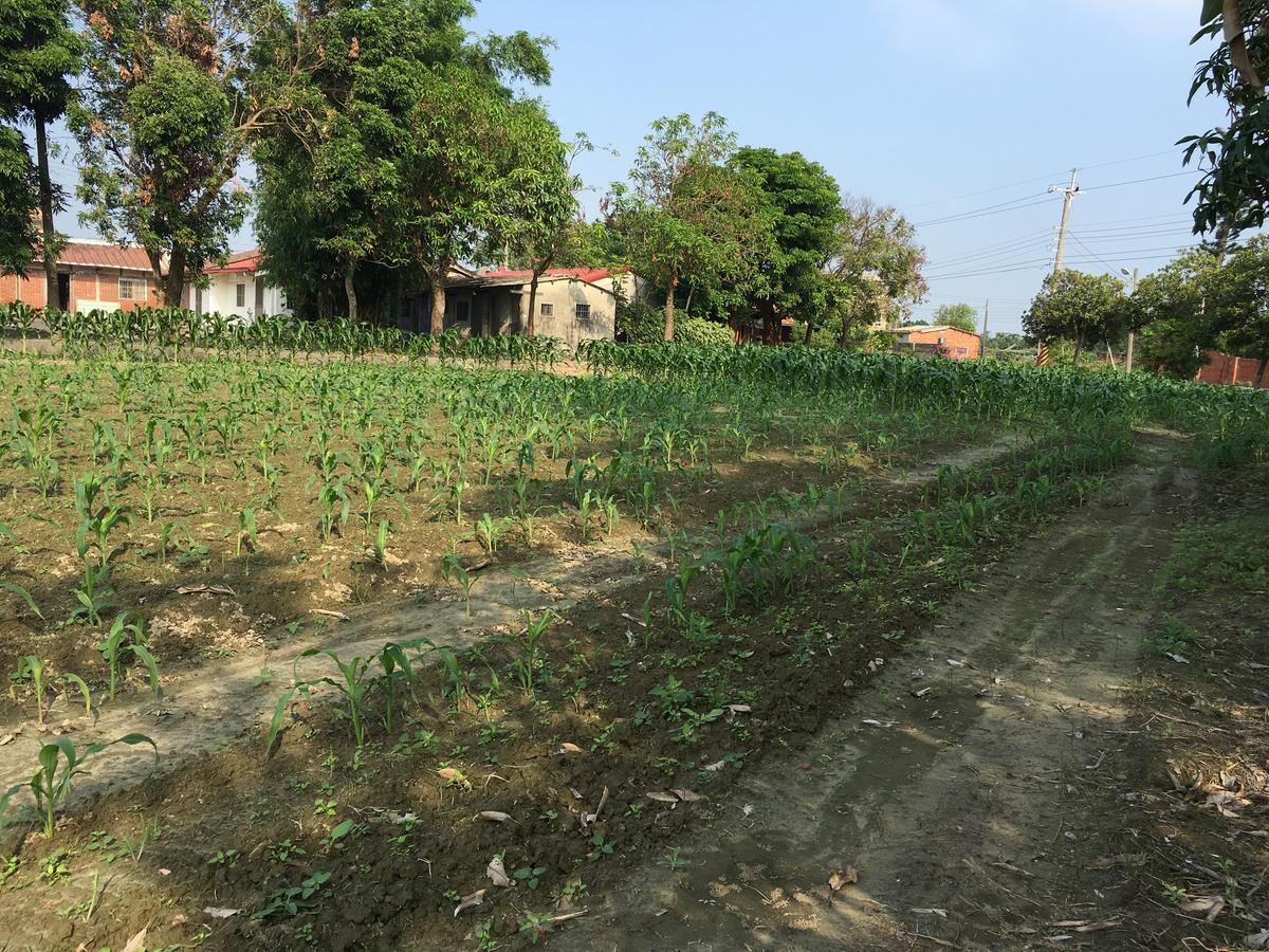 Sky Gift Traditional Farm B&B Dongshi (Chiayi) Exterior foto